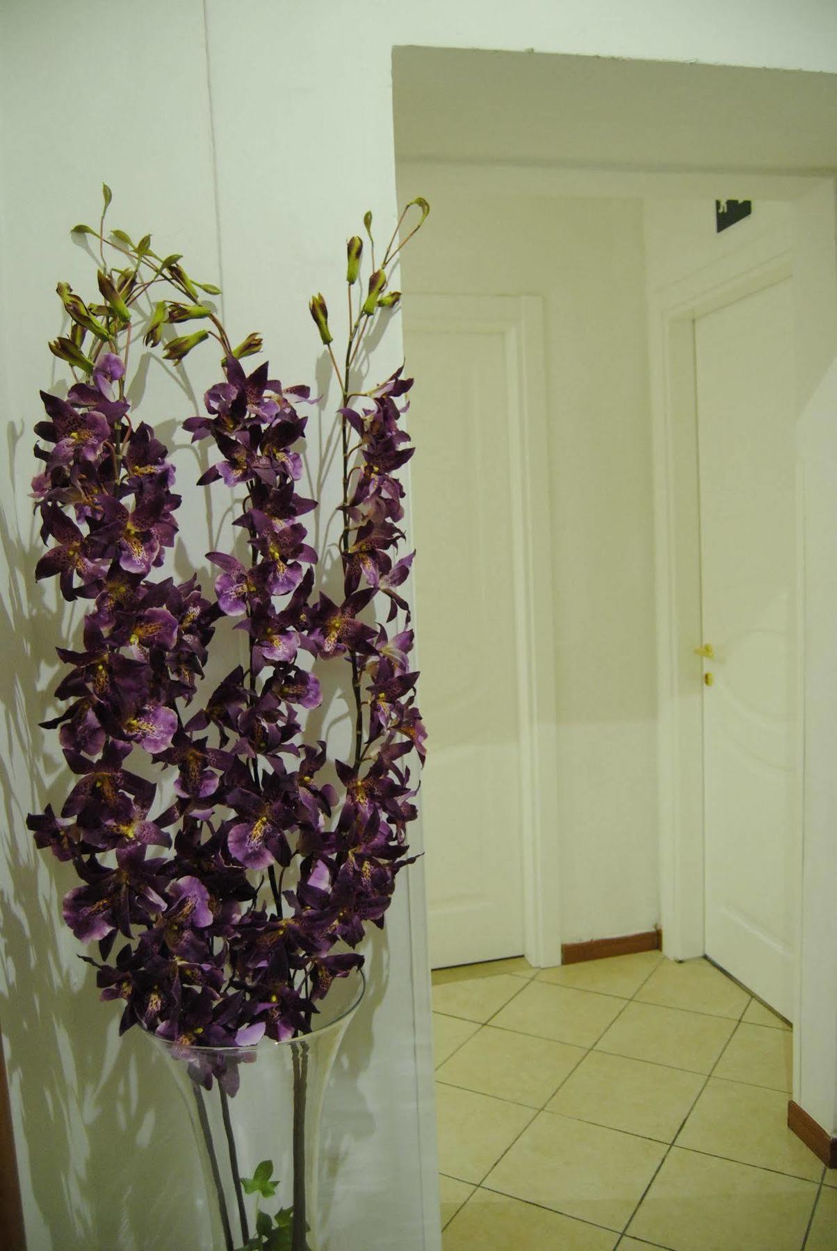 Adelaide House Hotel ฟลอเรนซ์ ภายนอก รูปภาพ